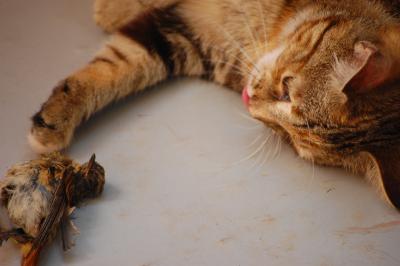 Прикрепленное изображение: DSC_1666.JPG